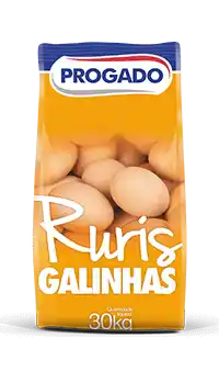 imgi_10_8