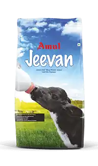 imgi_3_1