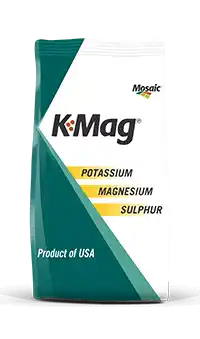 imgi_9_7